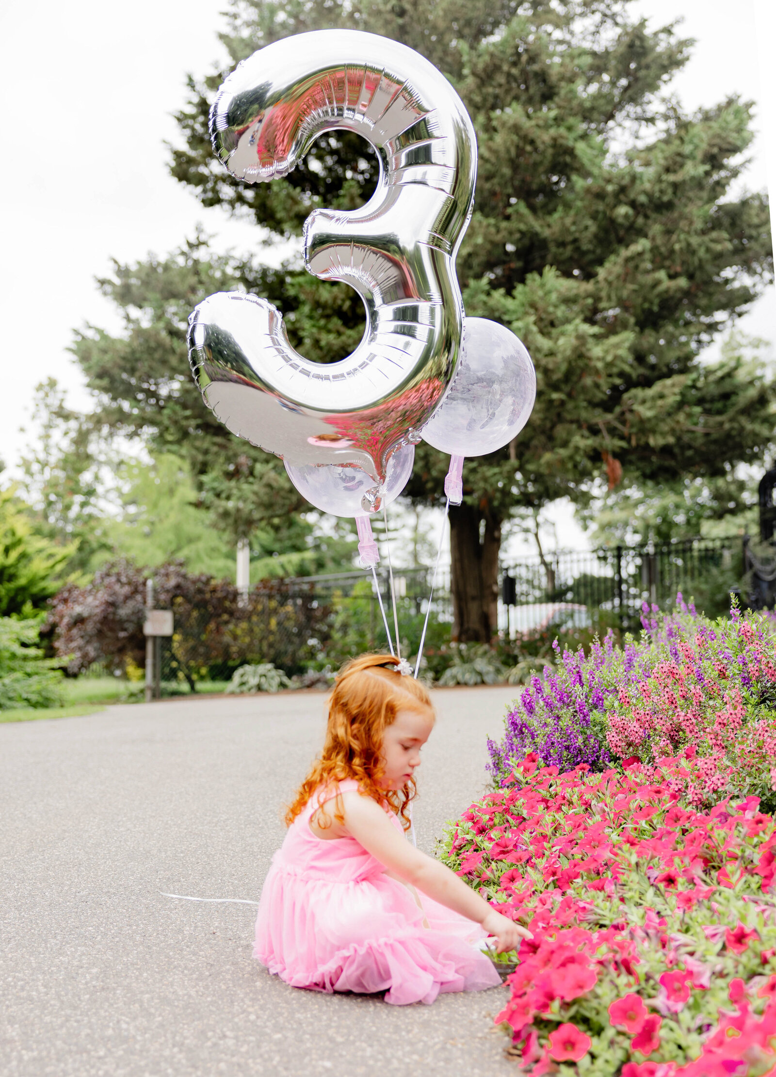 Birthday photoshoot at Clarks botanical garden.  Little girl touching flowers with silver number 3 balloons