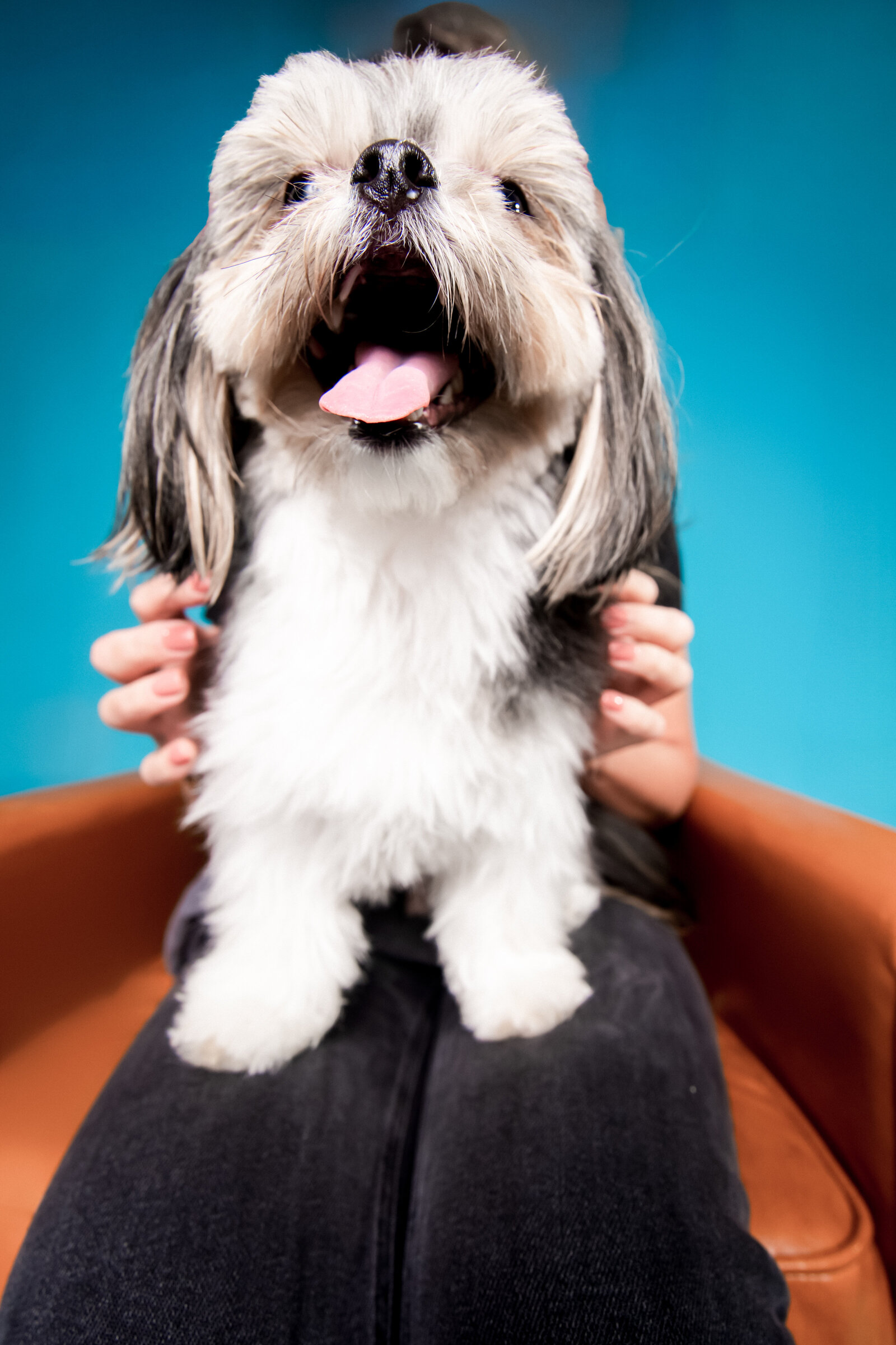 Doggy Casting Call-(86 of 104)