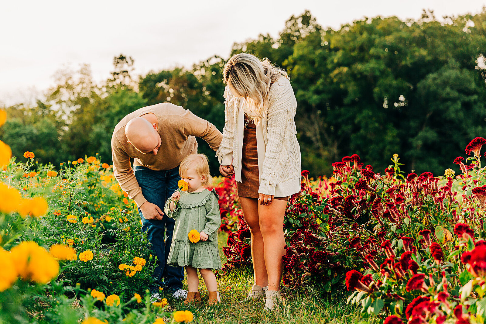 little girl smelling flower with parents