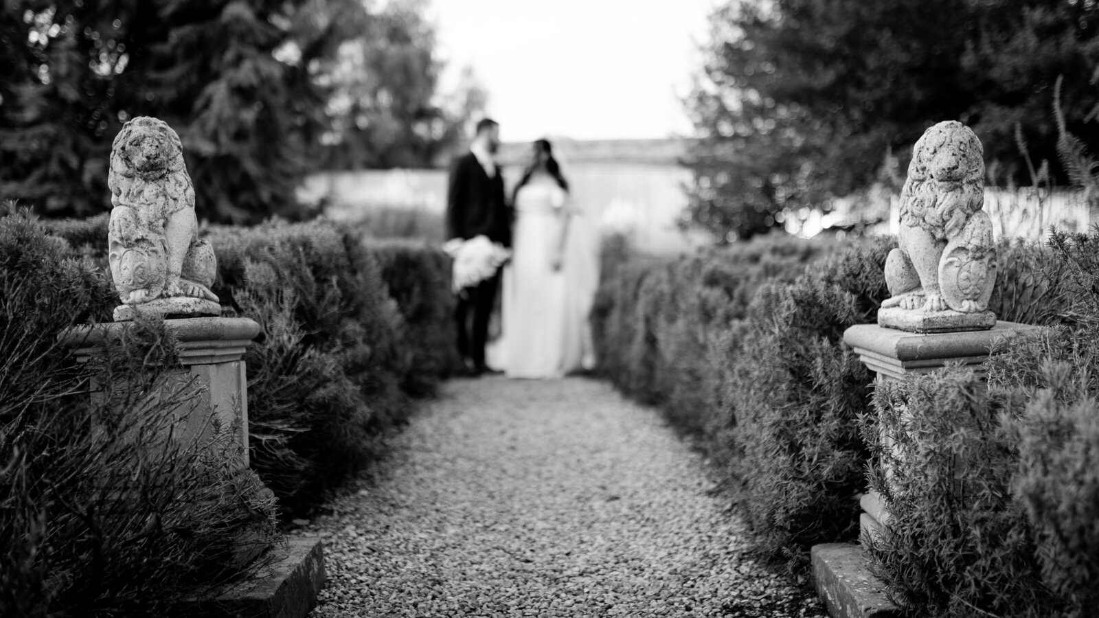 250612-Lucy-Brandon-Rexvil-Photography-Adelaide-Wedding-Photographer-573