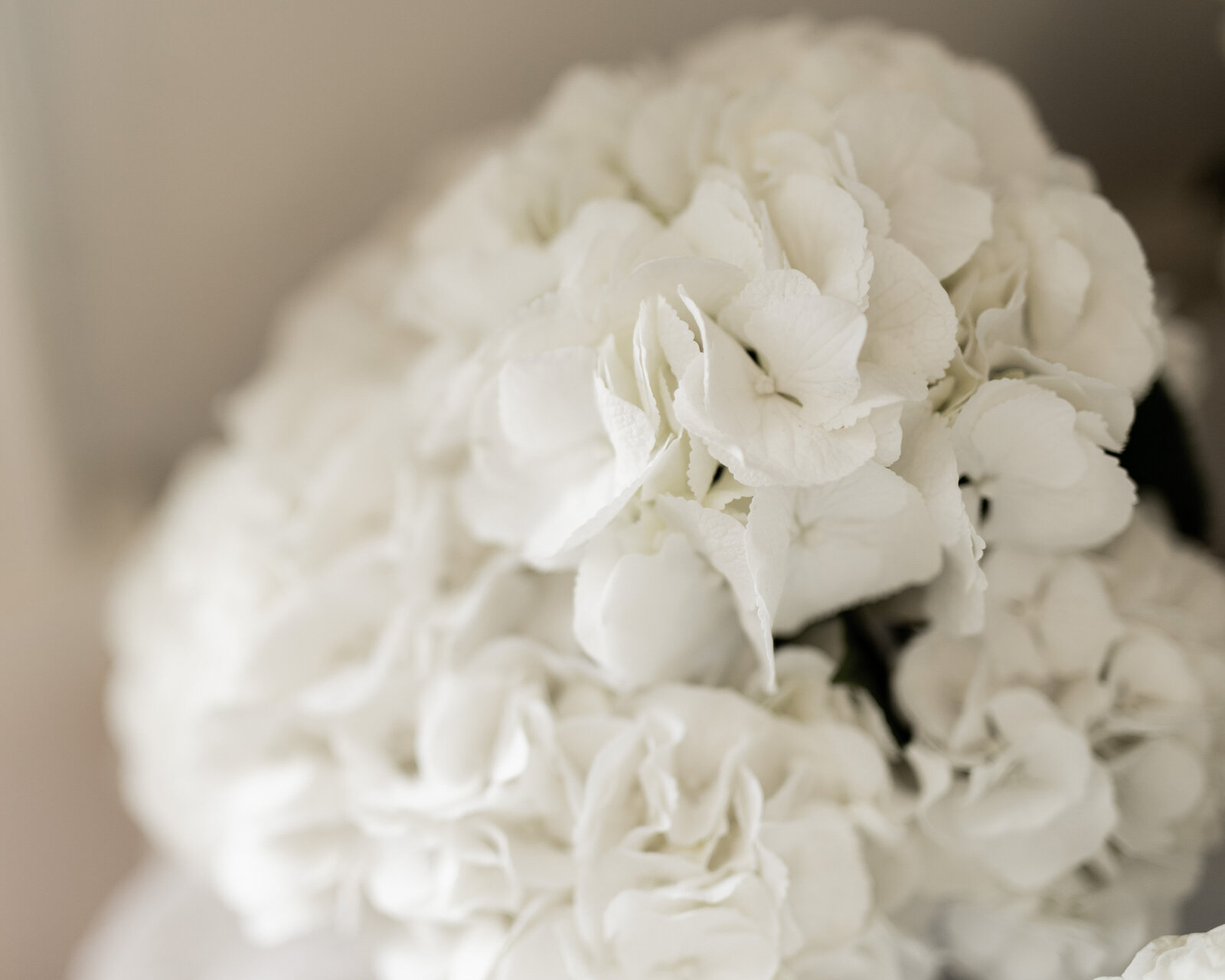250308-Sophie-Matthew-Rexvil-Photography-Adelaide-Wedding-Photographer-122