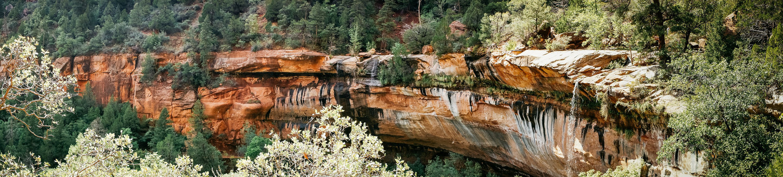 Sasha_Reiko_Photography_Travel_Utah_Arches_Canyon_Lands_Zion_Grand_Canyon-13