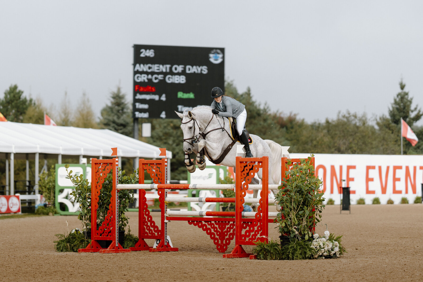 a grey horse with an english rider jumping a red and white jump at Caledon equestrian park captured by a equine private client photographer based in Ontario