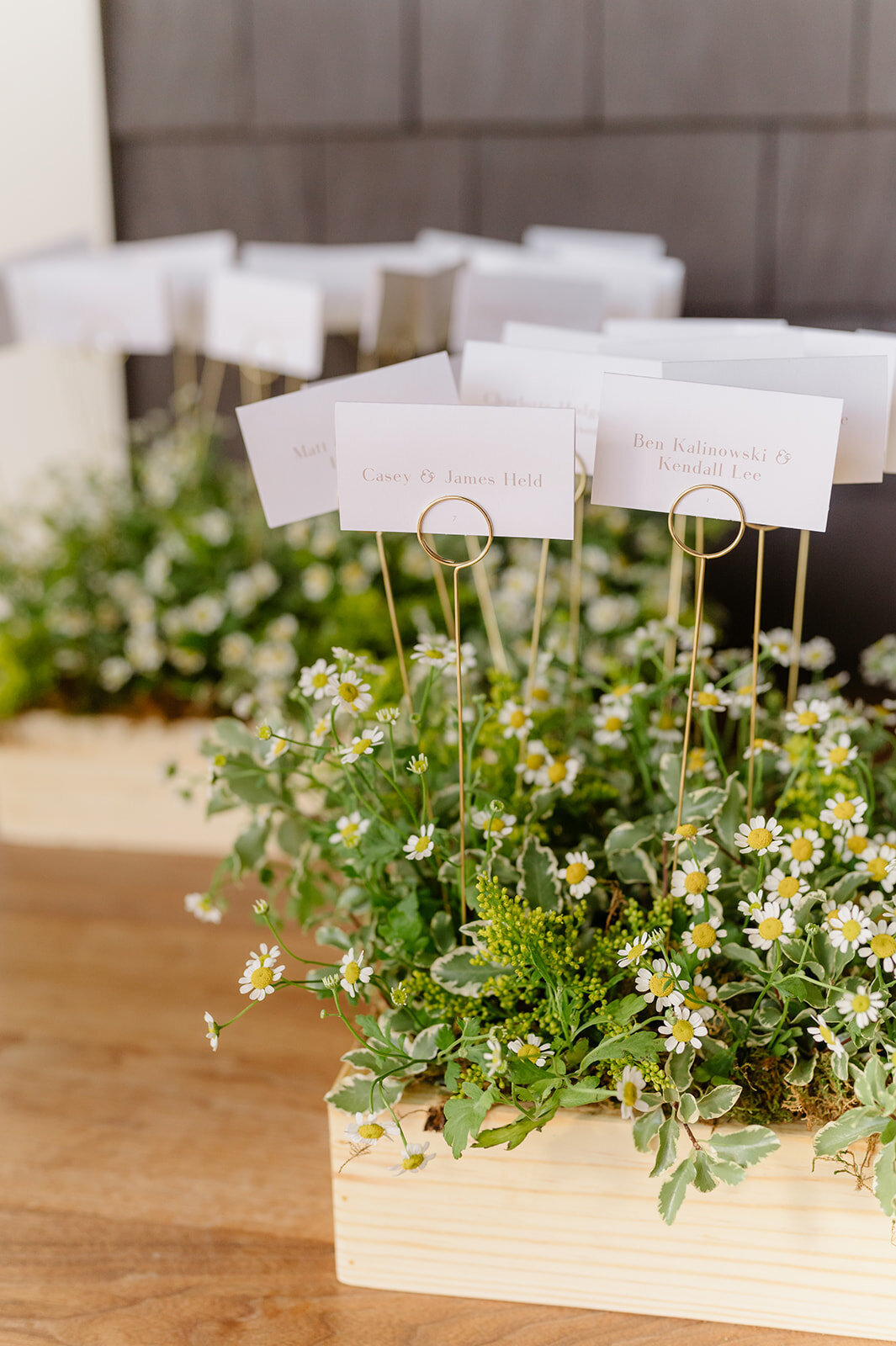 Jones Wedding -495_websize