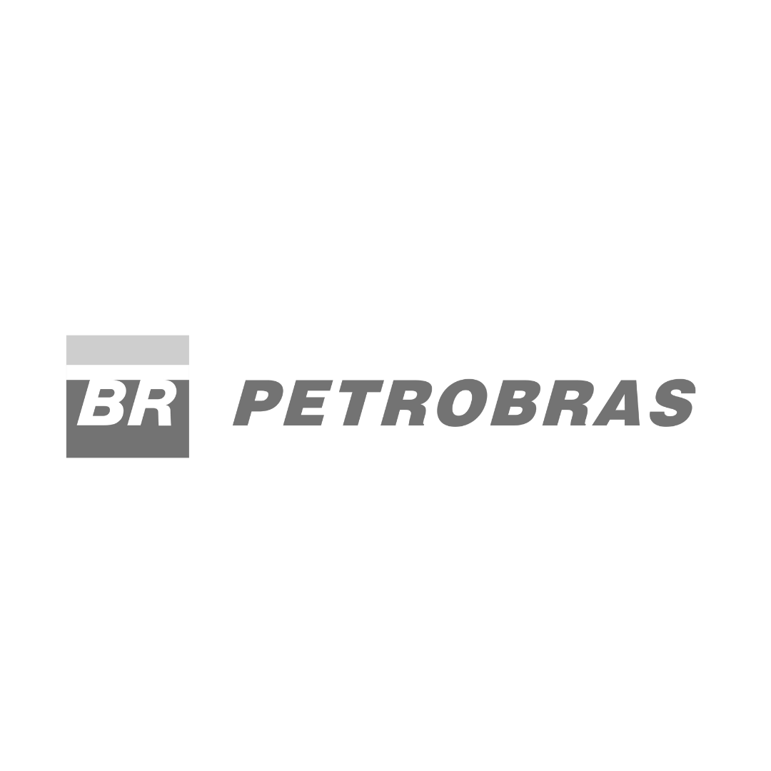 petrobras badge