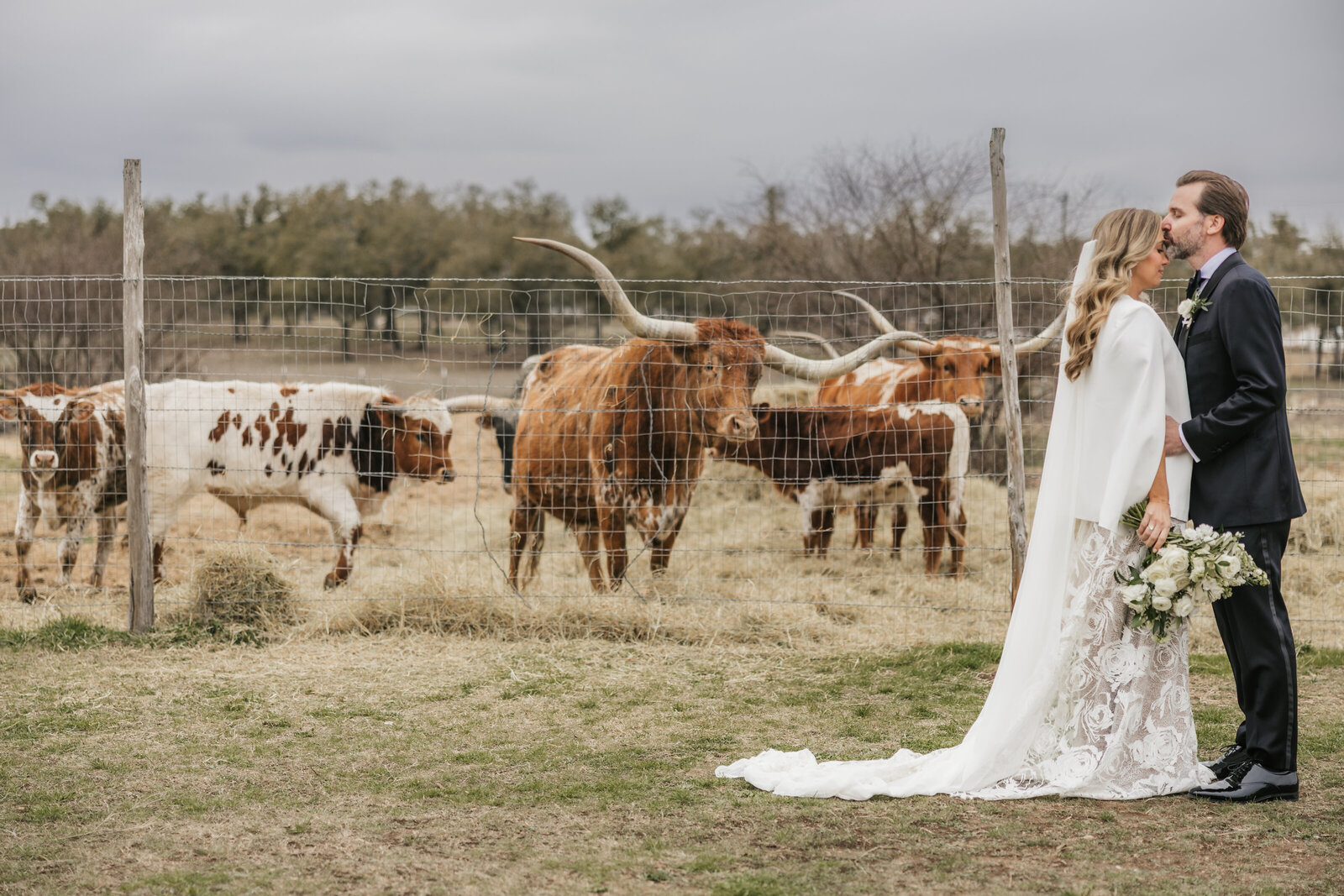 bride-groom-with-longhorns