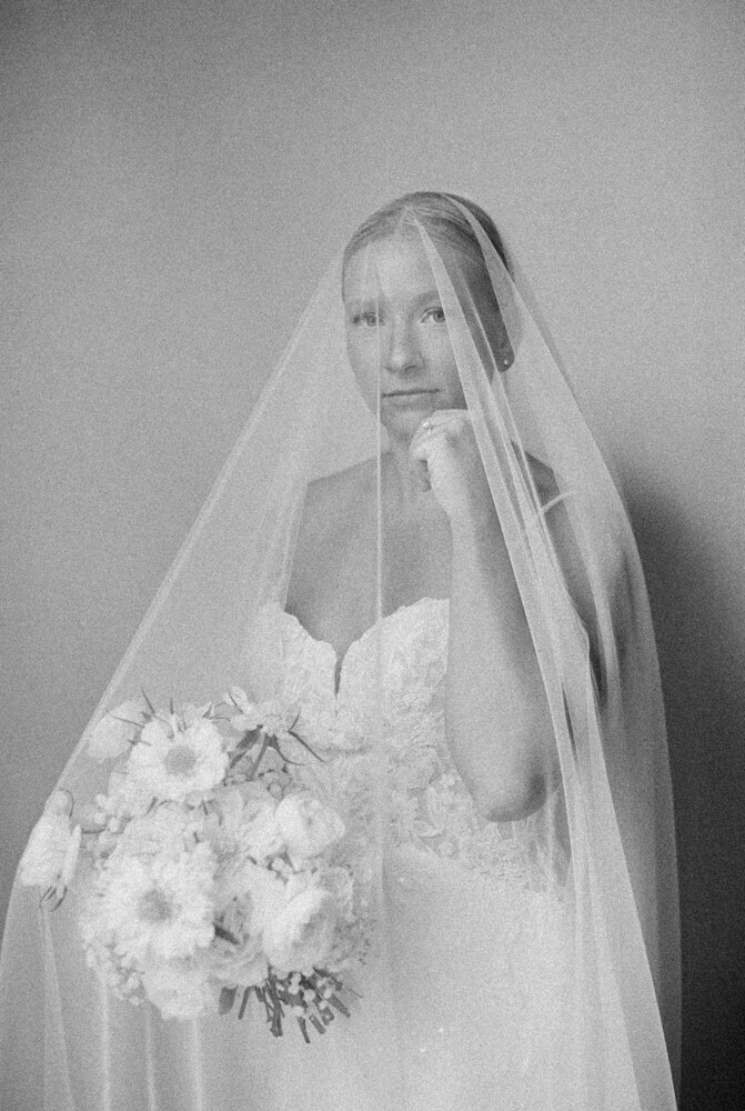 bride wearing a veil portrait