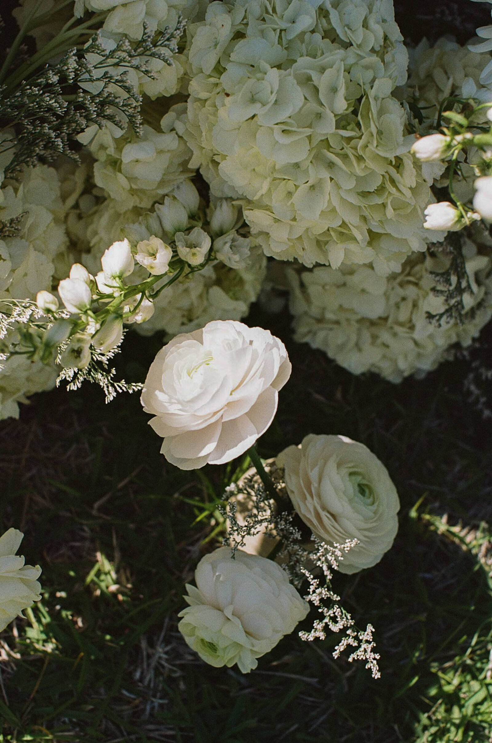 Orlando-Film-Wedding-Photographer-1