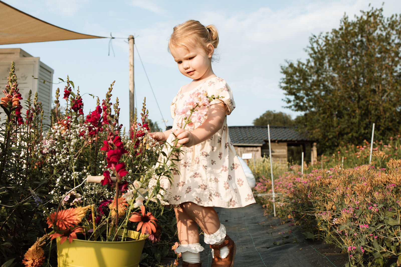 gezinsfotoshoot fotoshoot gezin gezinsfotografie gezinsfotograaf gezinsfotoshoot eindhoven gezinsshoot zwangerschap gezinsshoot buiten spontane gezinsfoto'a
