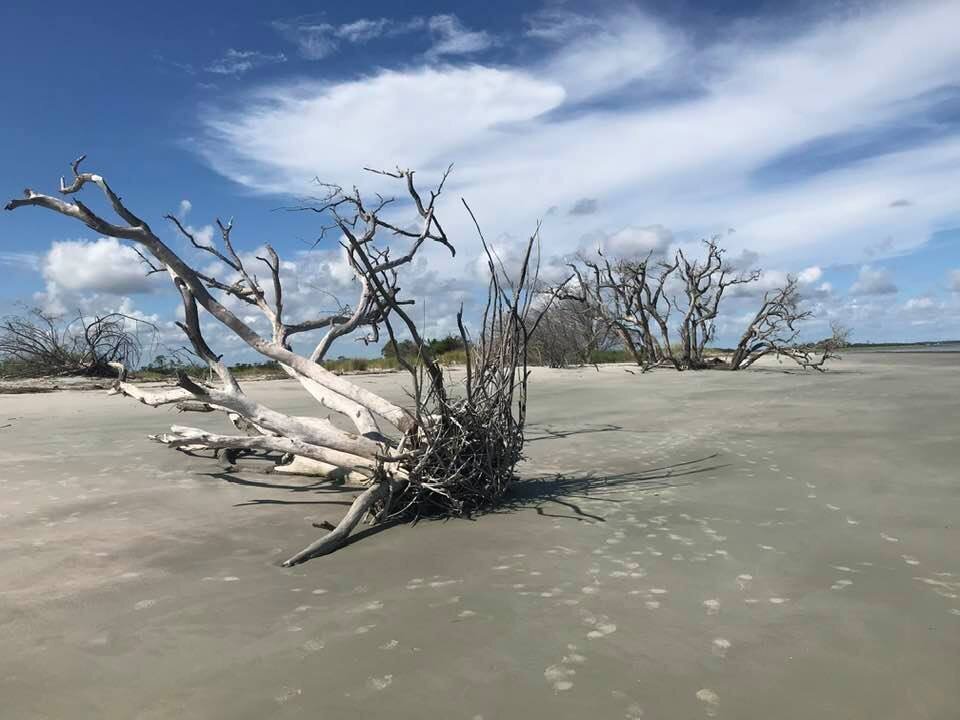 Otter Island