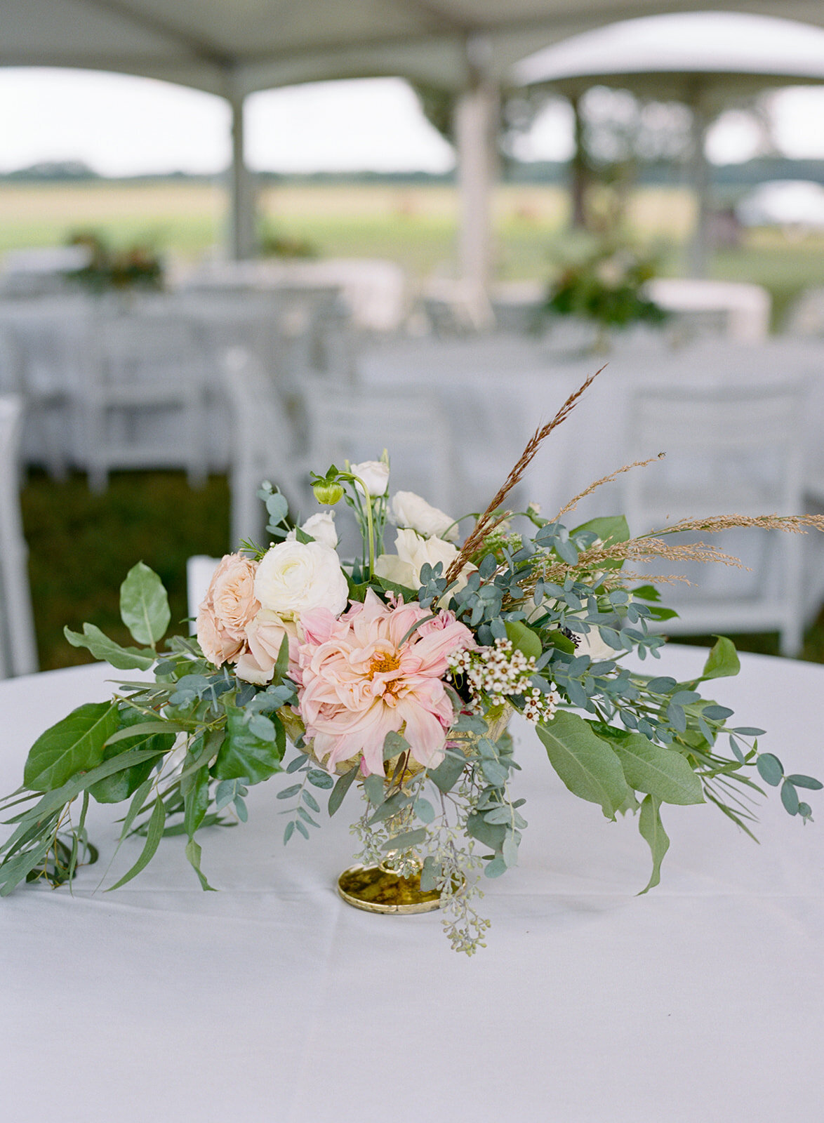 NORTHERN NECK VIRGINIA WEDDING RENTALS