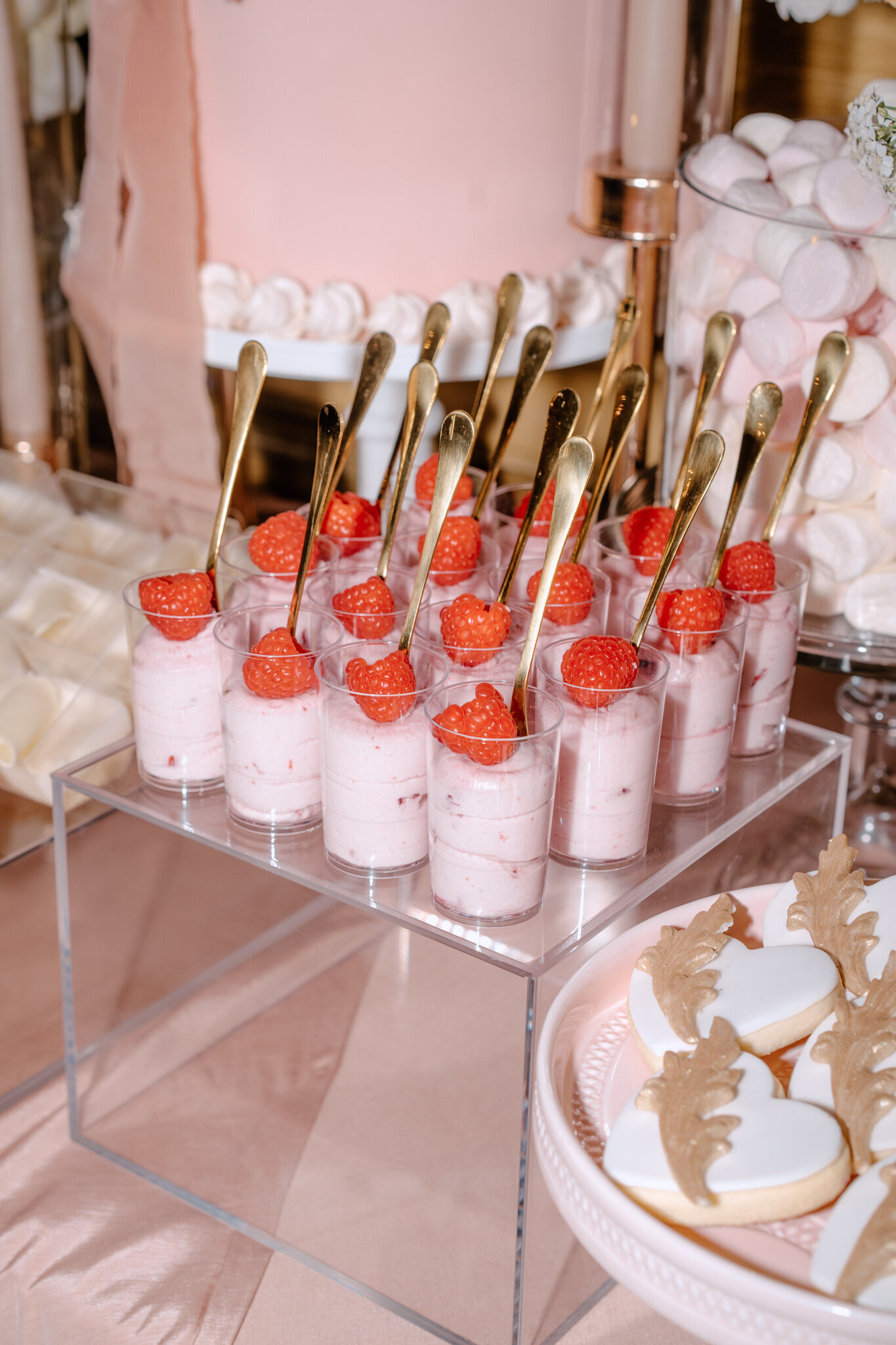 Beth Beresford Photography - Elevate Harlaxton SM -  - 116