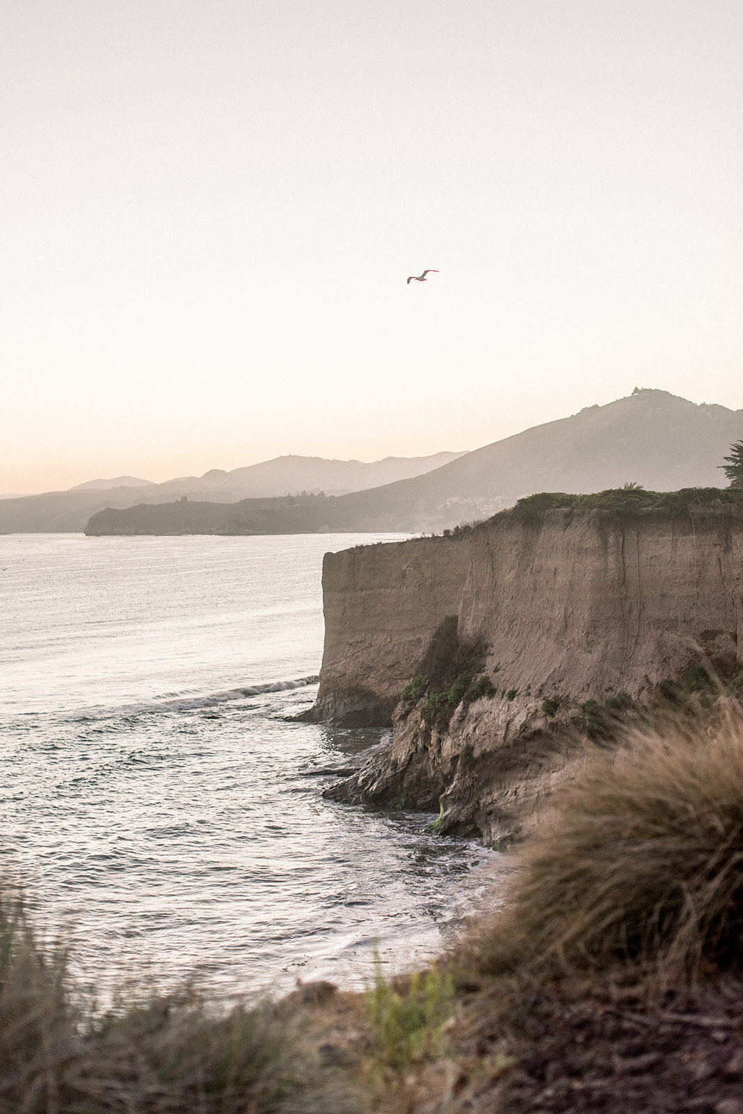 Luxury Coastal Wedding at Dolphin Bay Resort, Pismo Beach