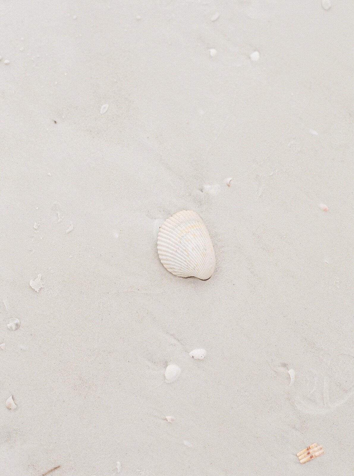 south-florida-engagement-photos-5