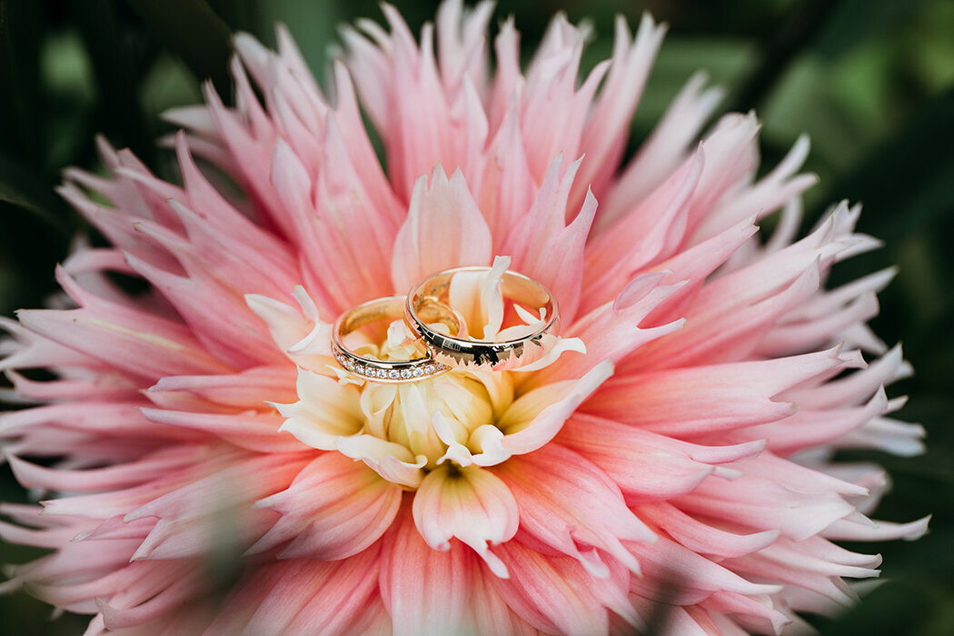 ringenfoto, ringenfotoinspo, trouweninbrabant, trouweninrucphen, trouwfotograafrucphen, trouwfotograafbrabant, zundert, achtmaal, schijf, rijsbergen, roosendaal, rucphen, dahliafotometringen, dahliamettrouwringen, bloemencorsotrouwfoto