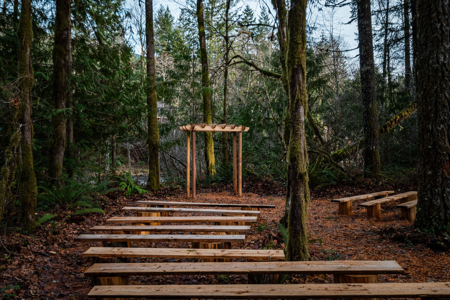 Intimate woodland ceremony site with benches and a wooden arbor