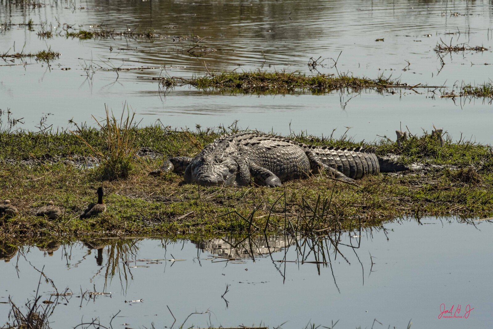 2019 Crock (1)