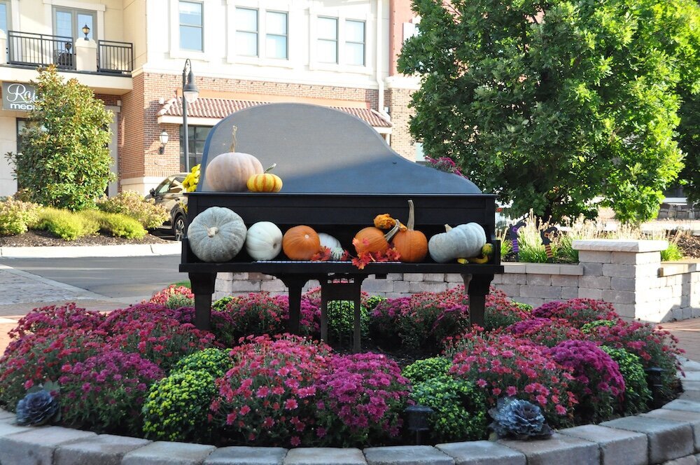 a grand piano being used as landscaping decor with pumpkins on the keys