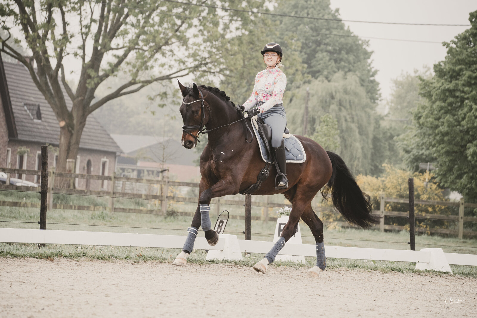 Paardenfotograaf, paardensport, paardenfotografie, hippische onderneming, fotoshoot, fotograaf