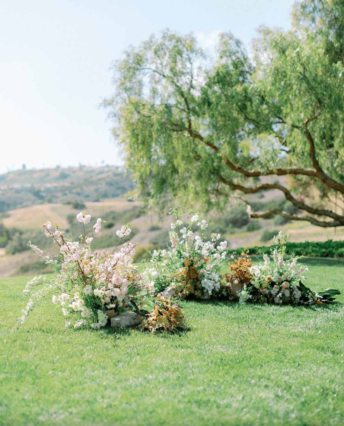 Screenshot 2025-11-25 at 11.42.03 AM