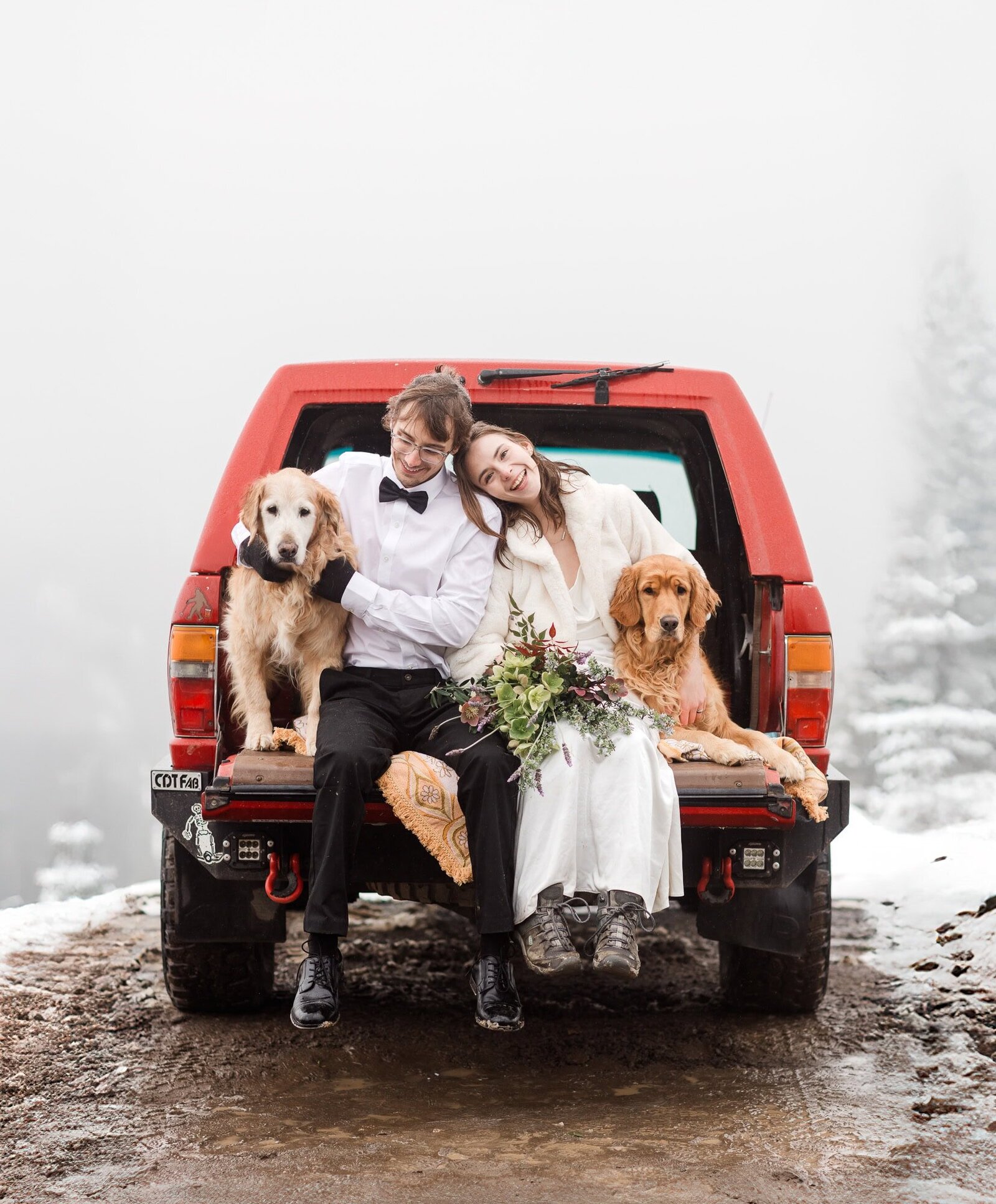 A bride and groom sit on the tailgate of a red Toyota next to their two golden retrievers on their mountain wedding. 