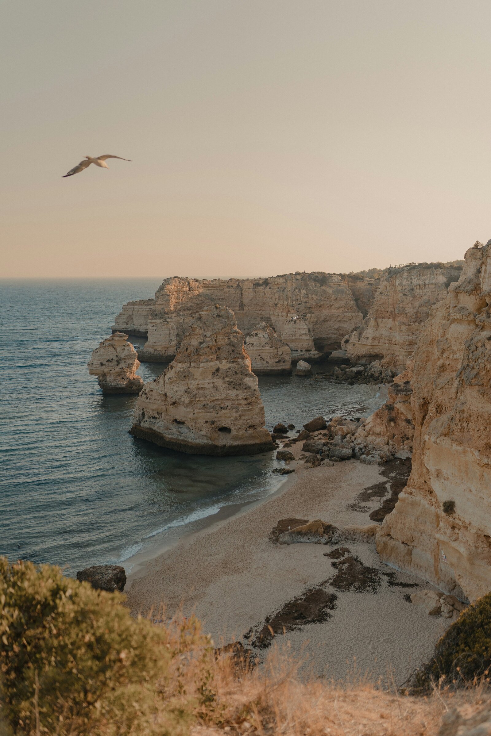 gantas-vaiciulenas-rDoFNVmTsjc-unsplash (1)