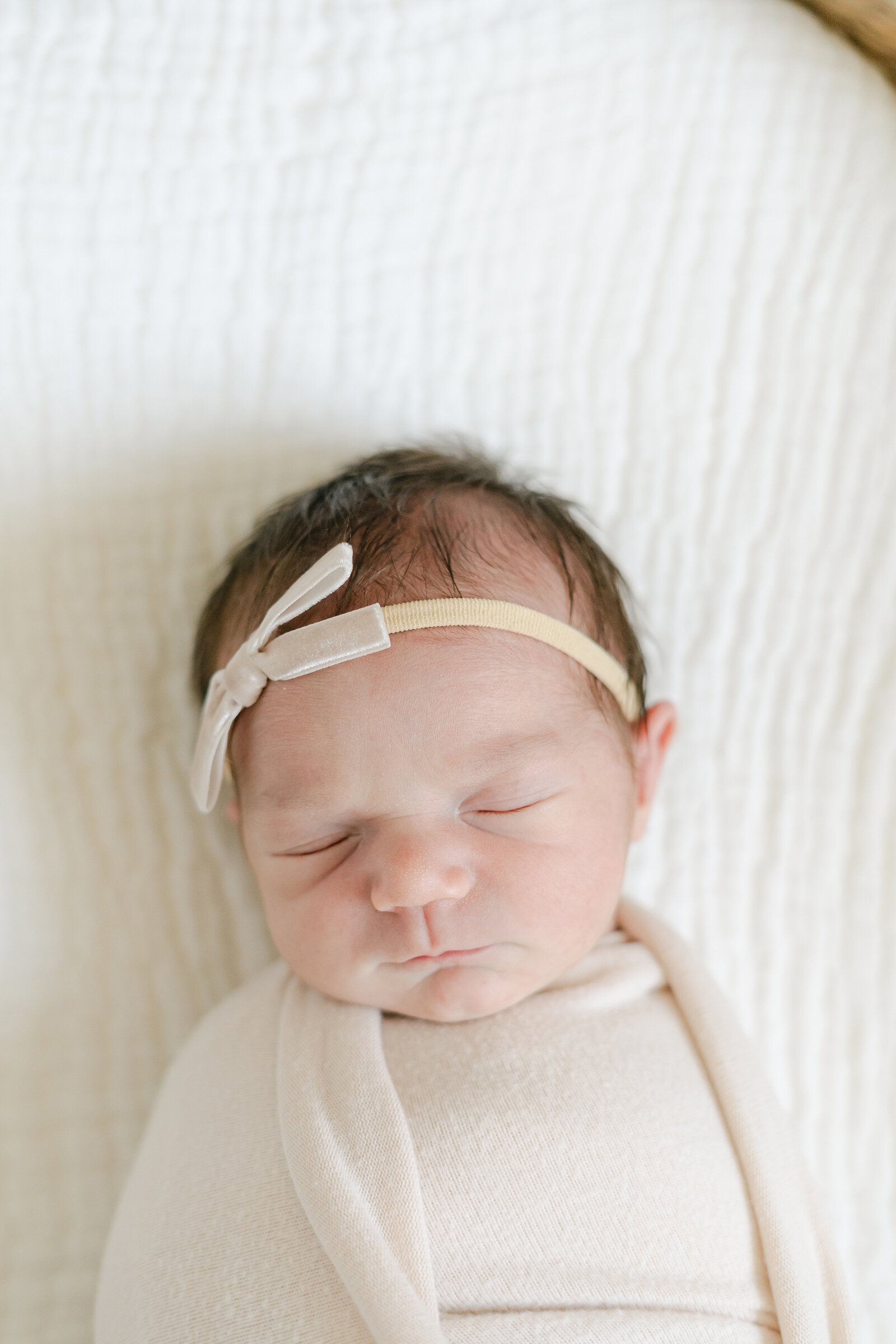 Photographer Tamara Jaros Photography InHome Lifestyle Photo Sessions-3