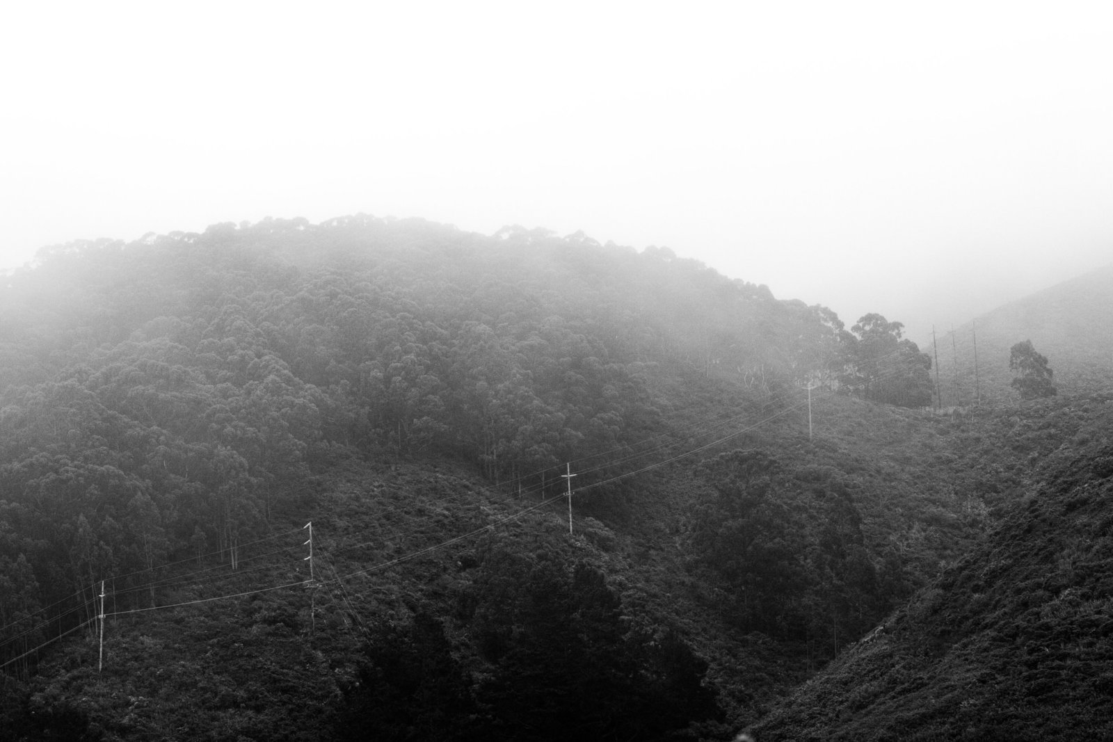 Non Profit Travel Photographer