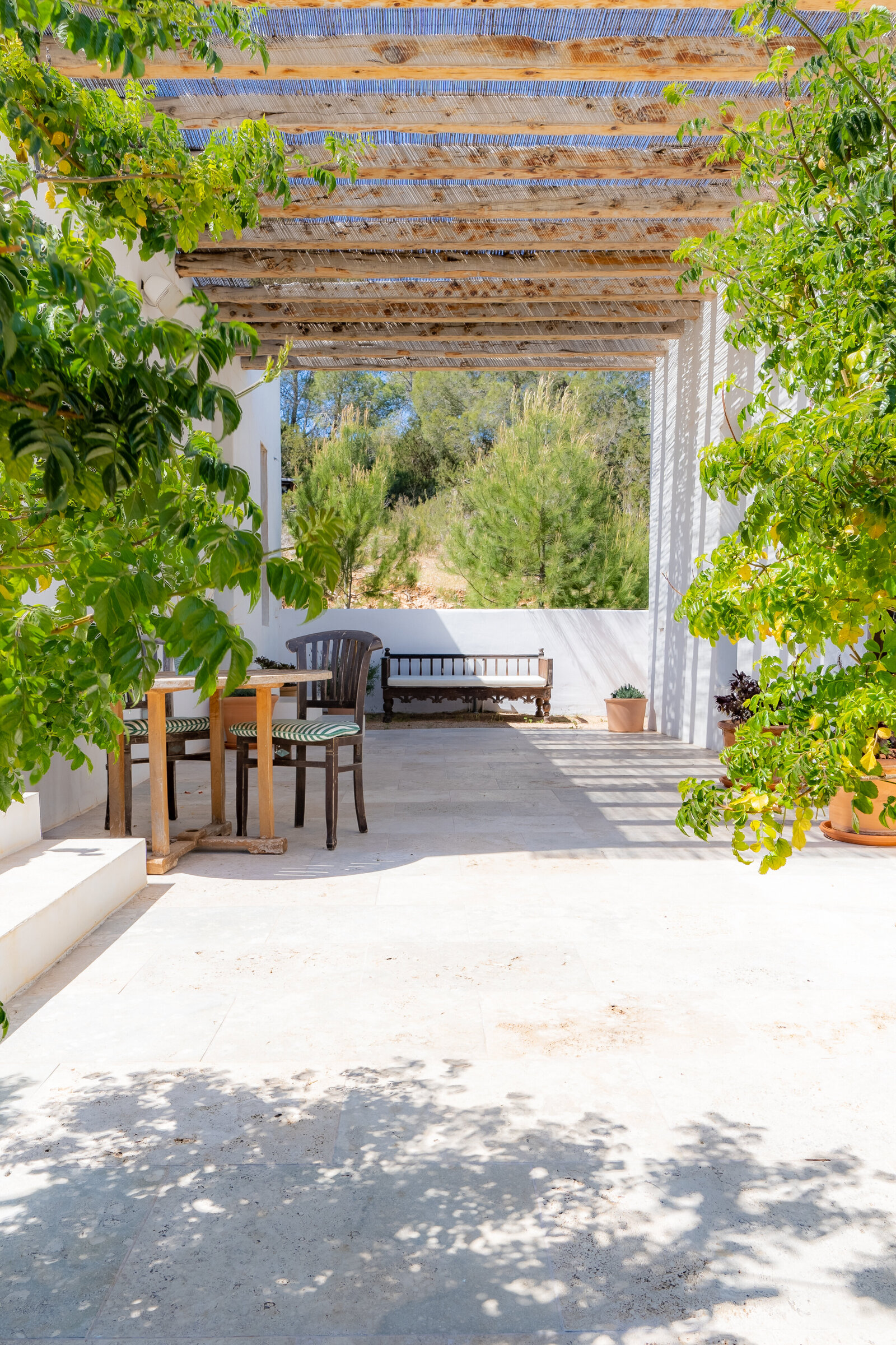 Wild Feminine Womens Retreat Ibiza 2025 (32)