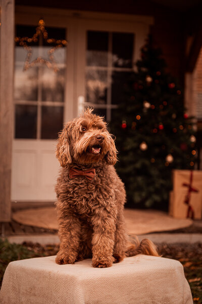 DSC_9674-Edit