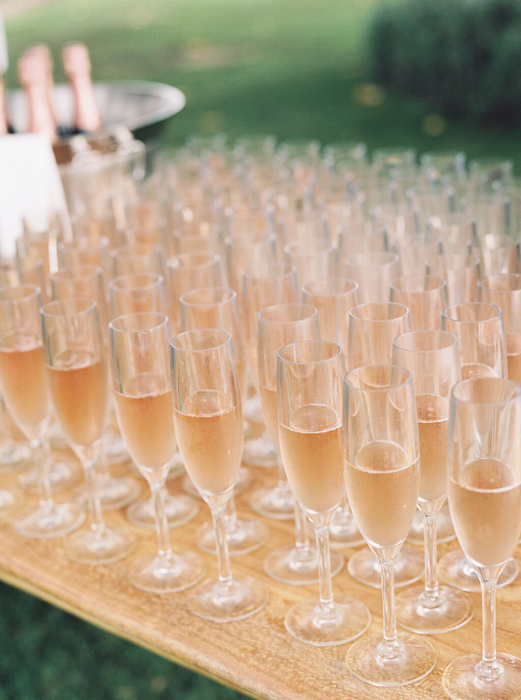 Grace_Trevor_Wedding_Hawaii-601