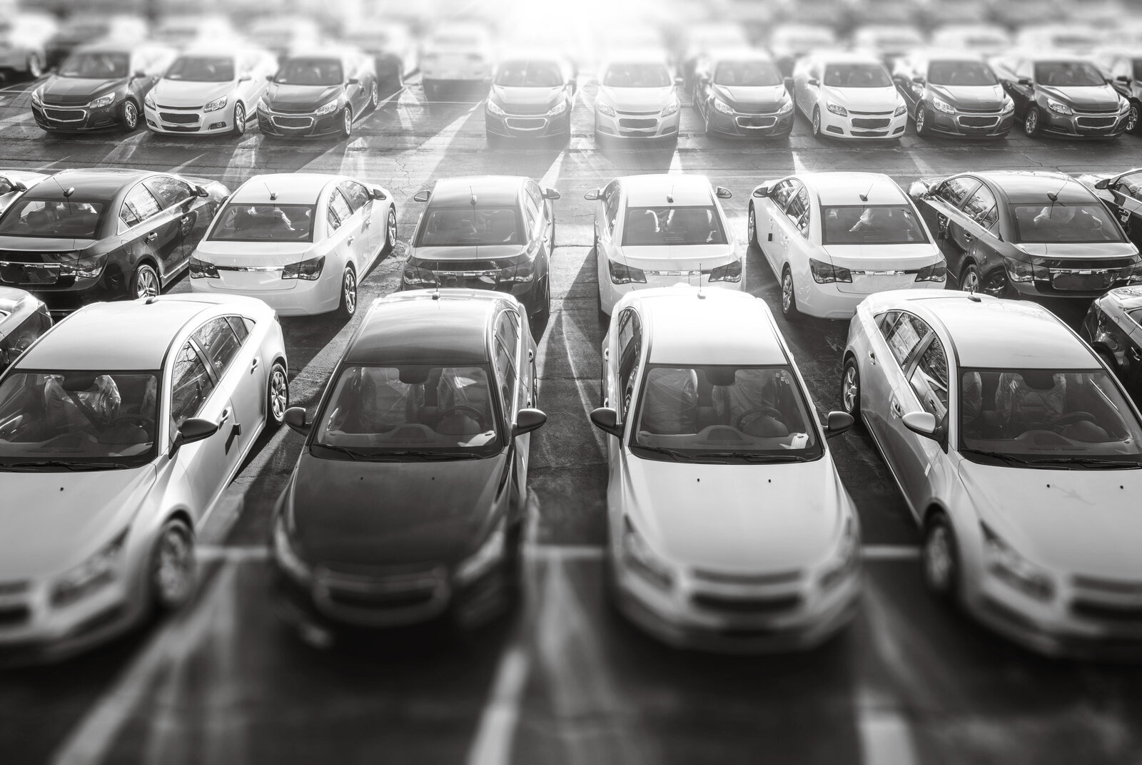 AutoDealershipInsuranceProgramBW