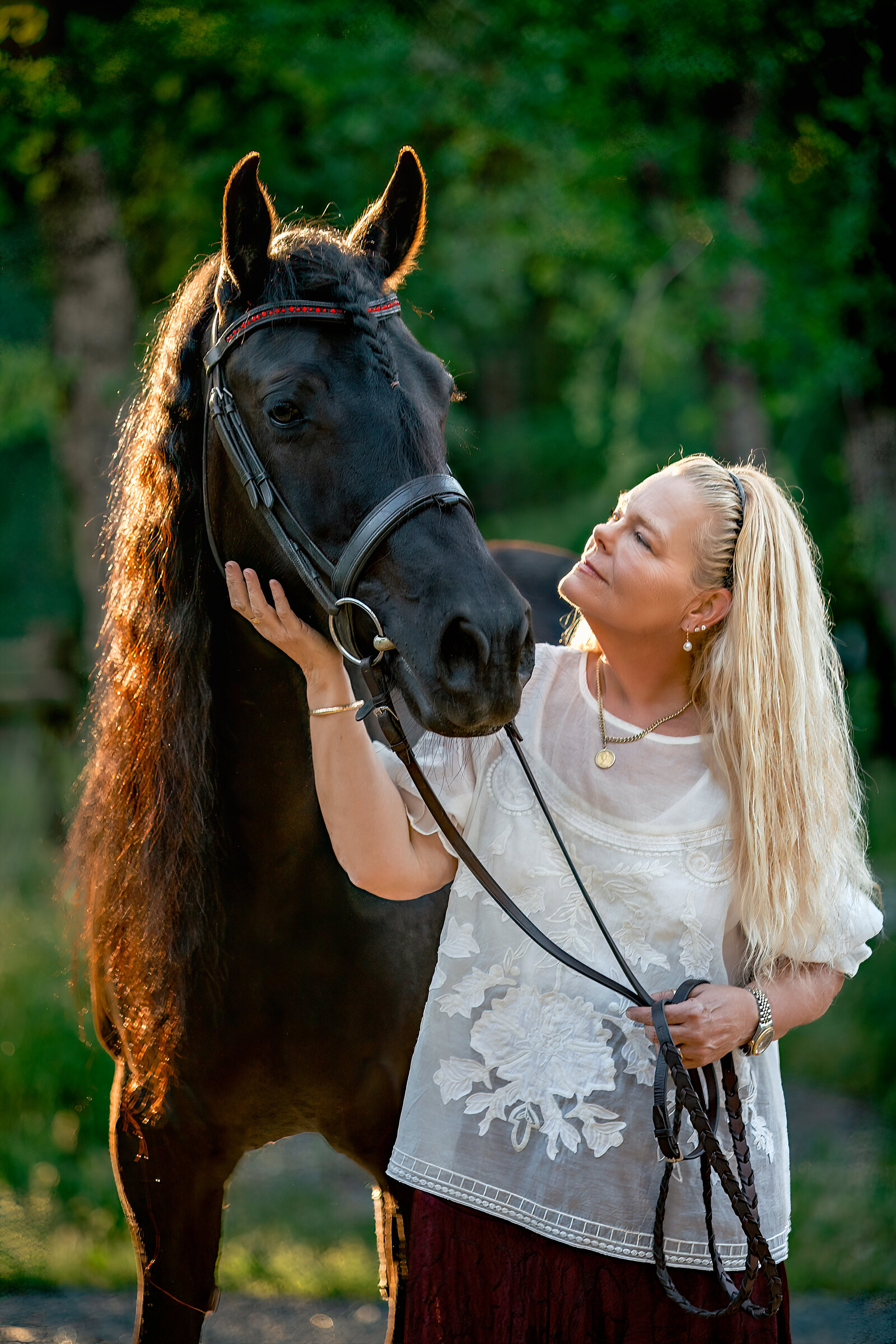 Northern California Equine Portraits