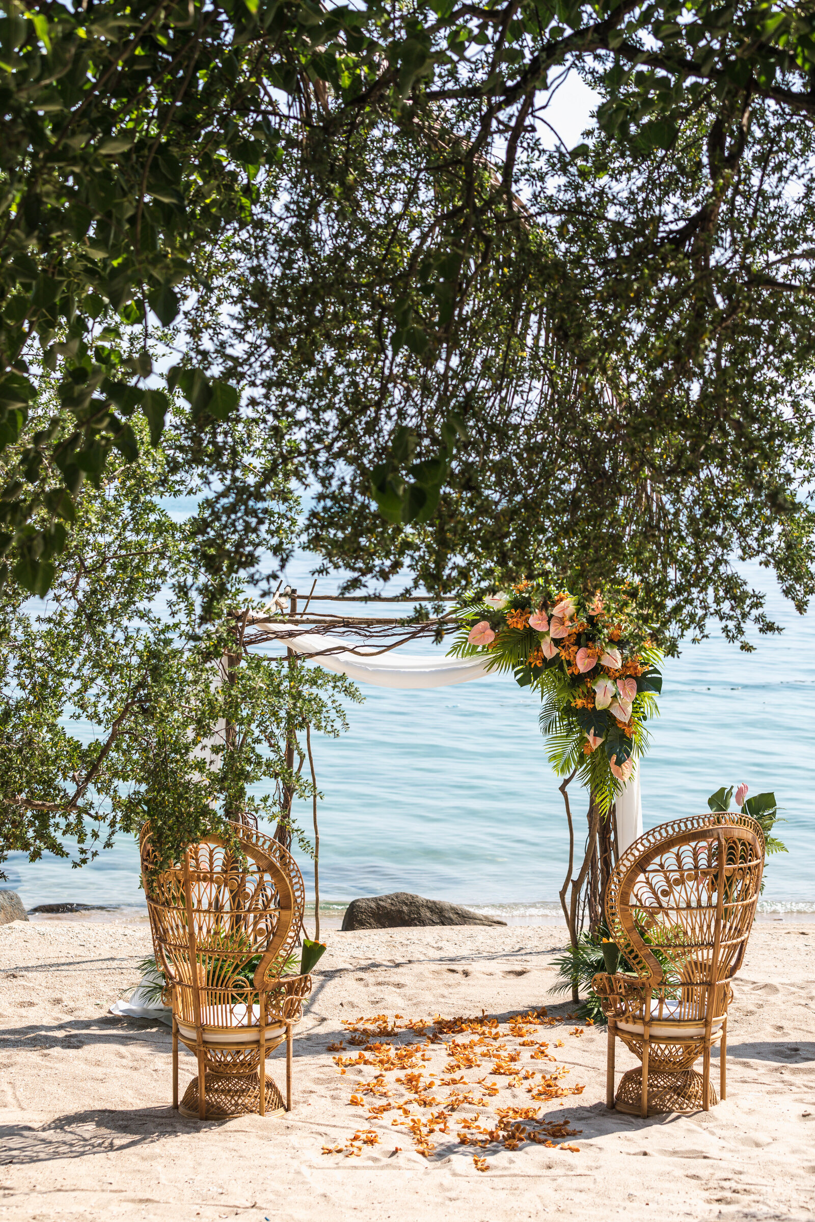 Tropical wedding with peacock chairs