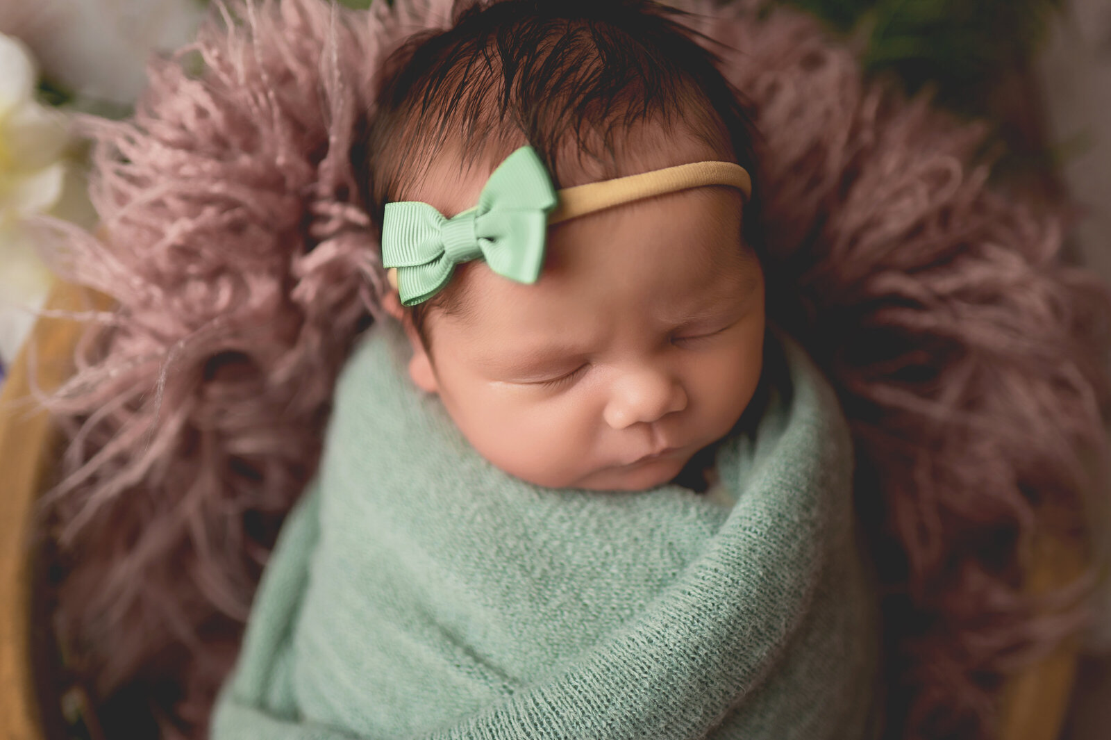 Lima Ohio Newborn