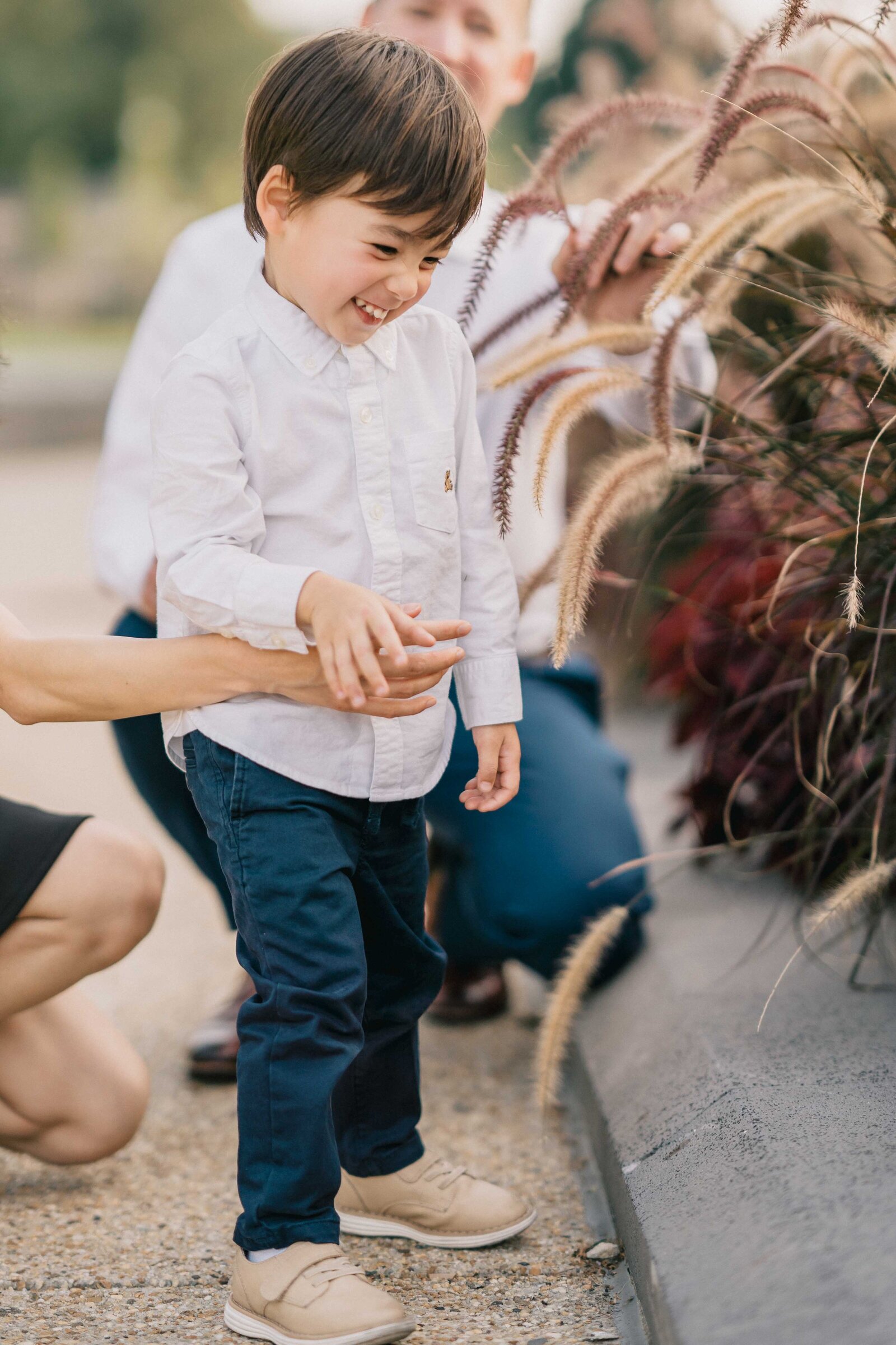 toddler boy portrait by dc family photographer