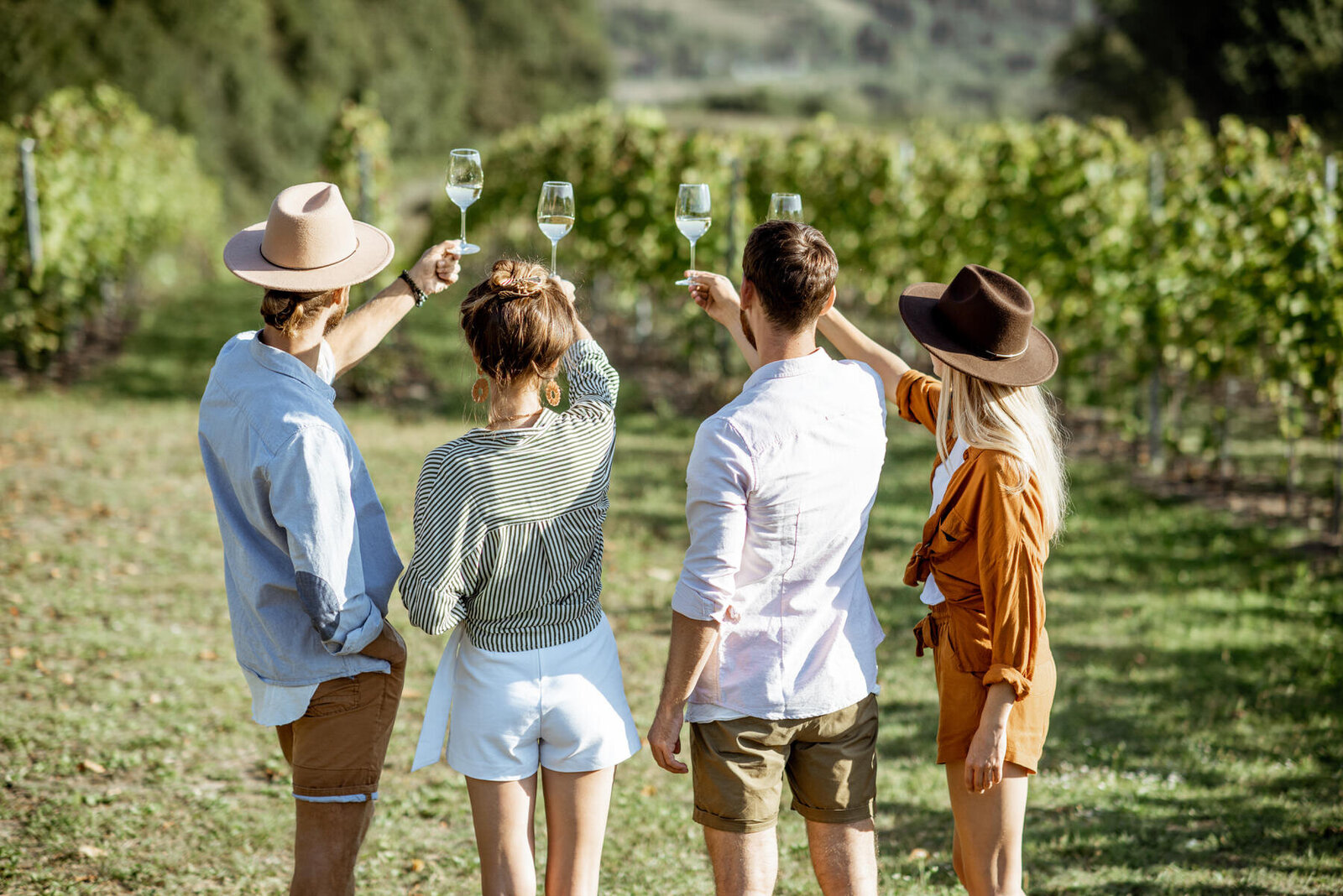 Four people stand in a vineyard, raising wine glasses in a toast. They are dressed in casual summer clothing and hats, facing away from the camera. Lush grapevines and blurred hills are visible in the background.