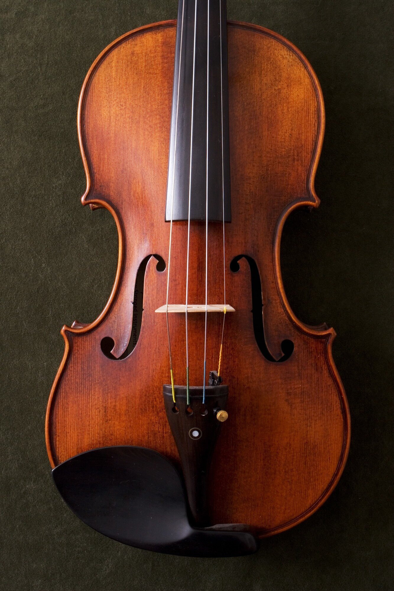 Violin