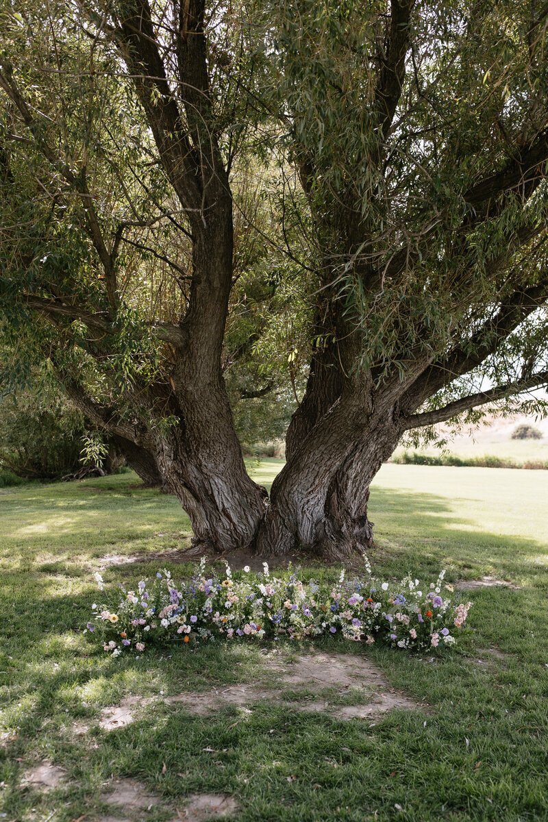 Tree at venue taken by idaho elopement photographer