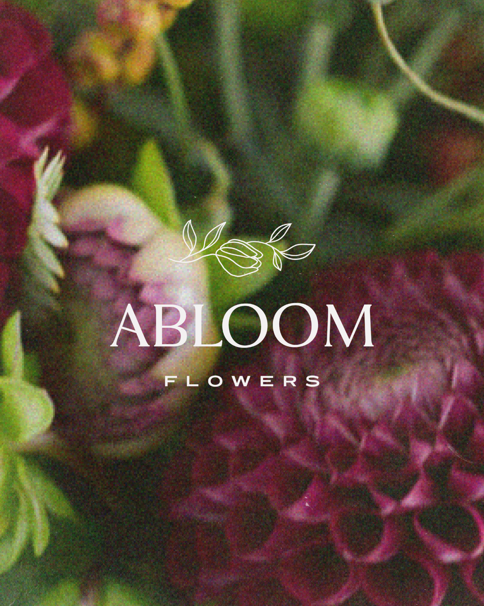 Abloom revisit-09