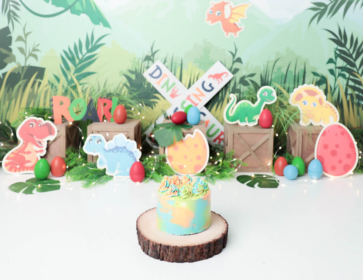 Cake Smash Photography Rochester, NY MJ Memories Photography