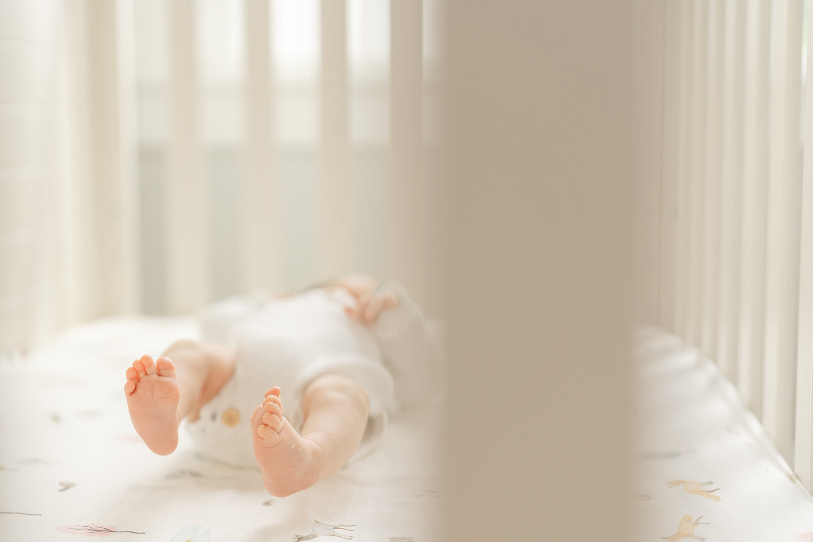 baby feet during Catlett, VA newborn picture