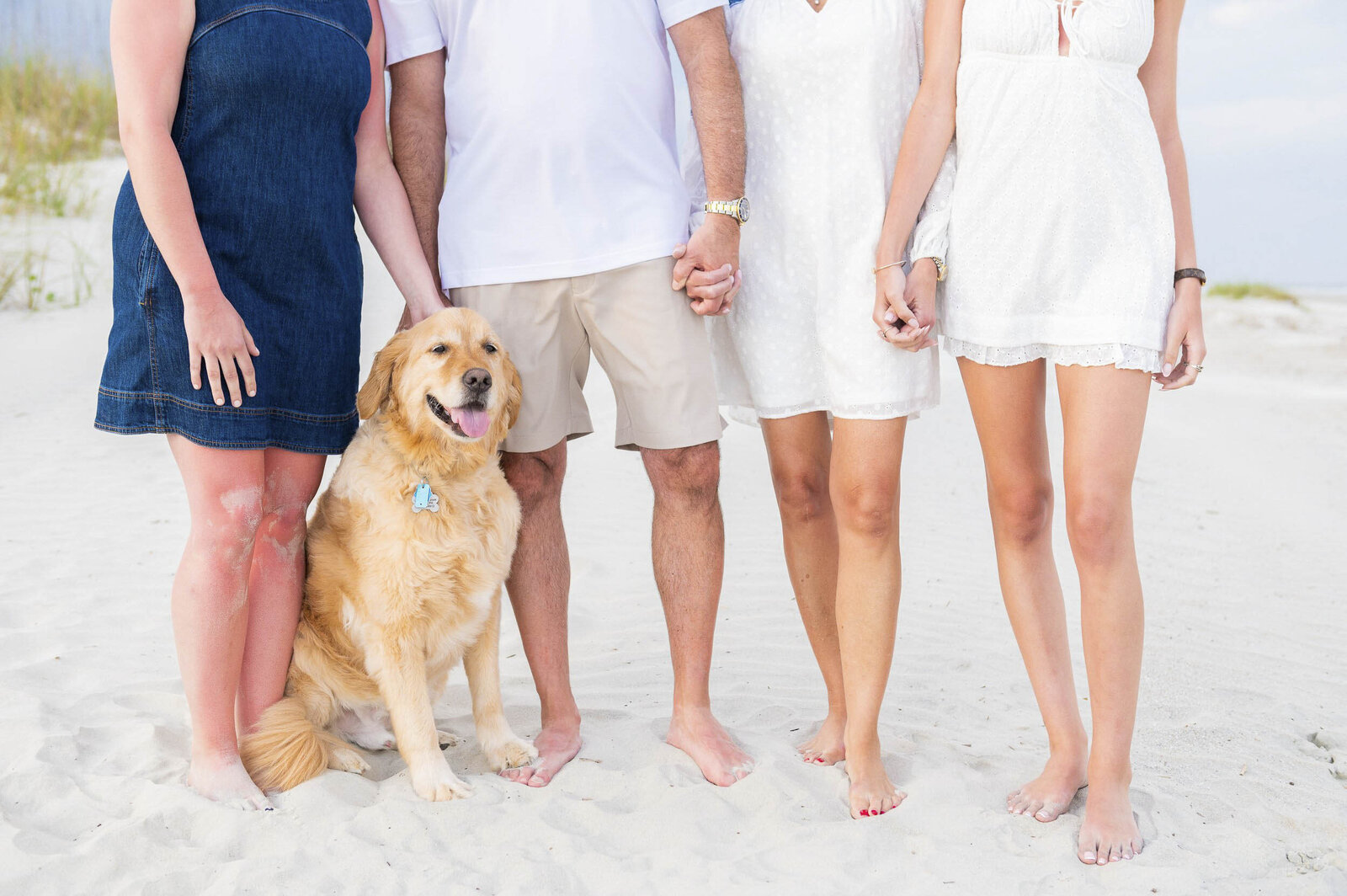 dog with family on beach