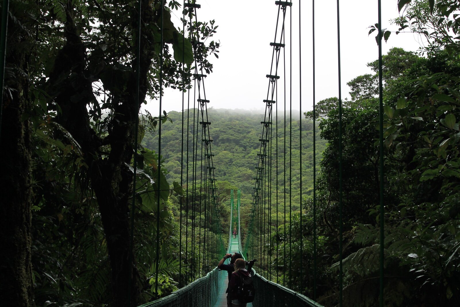 Hanging Bridge