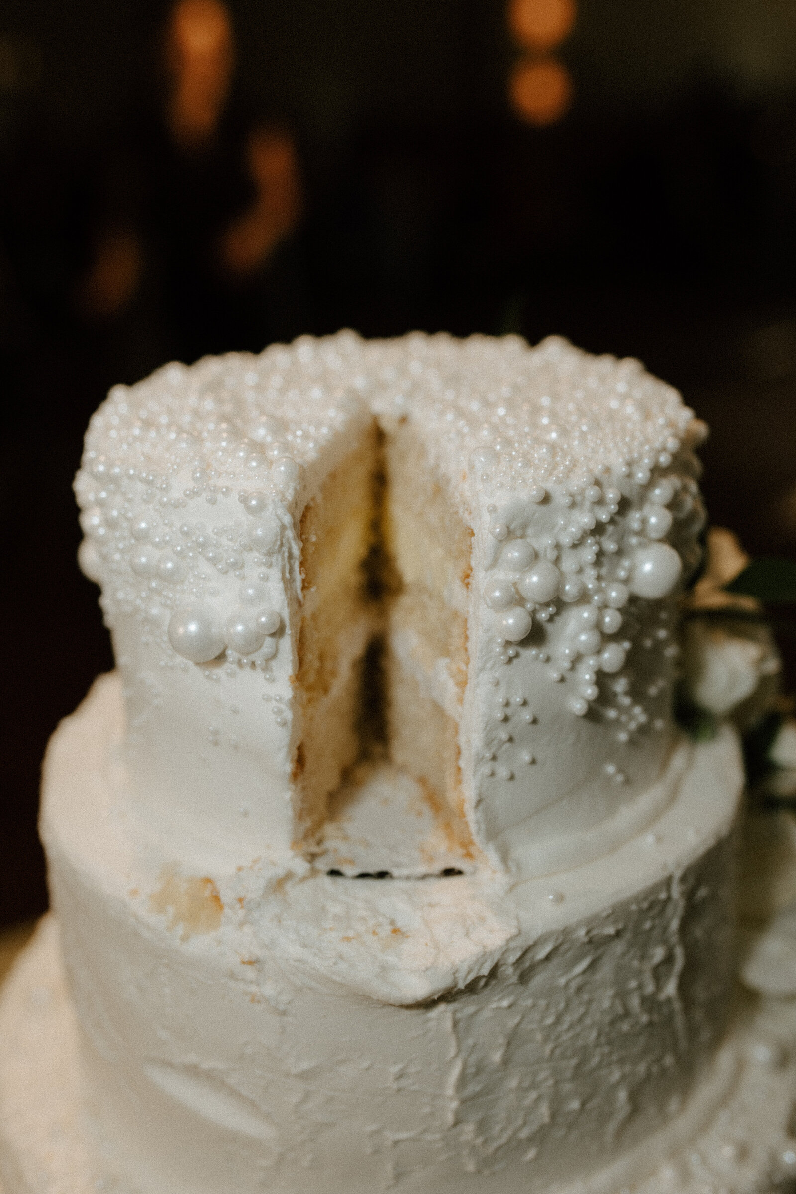 Blissfully-Bri-Photography-cake-2