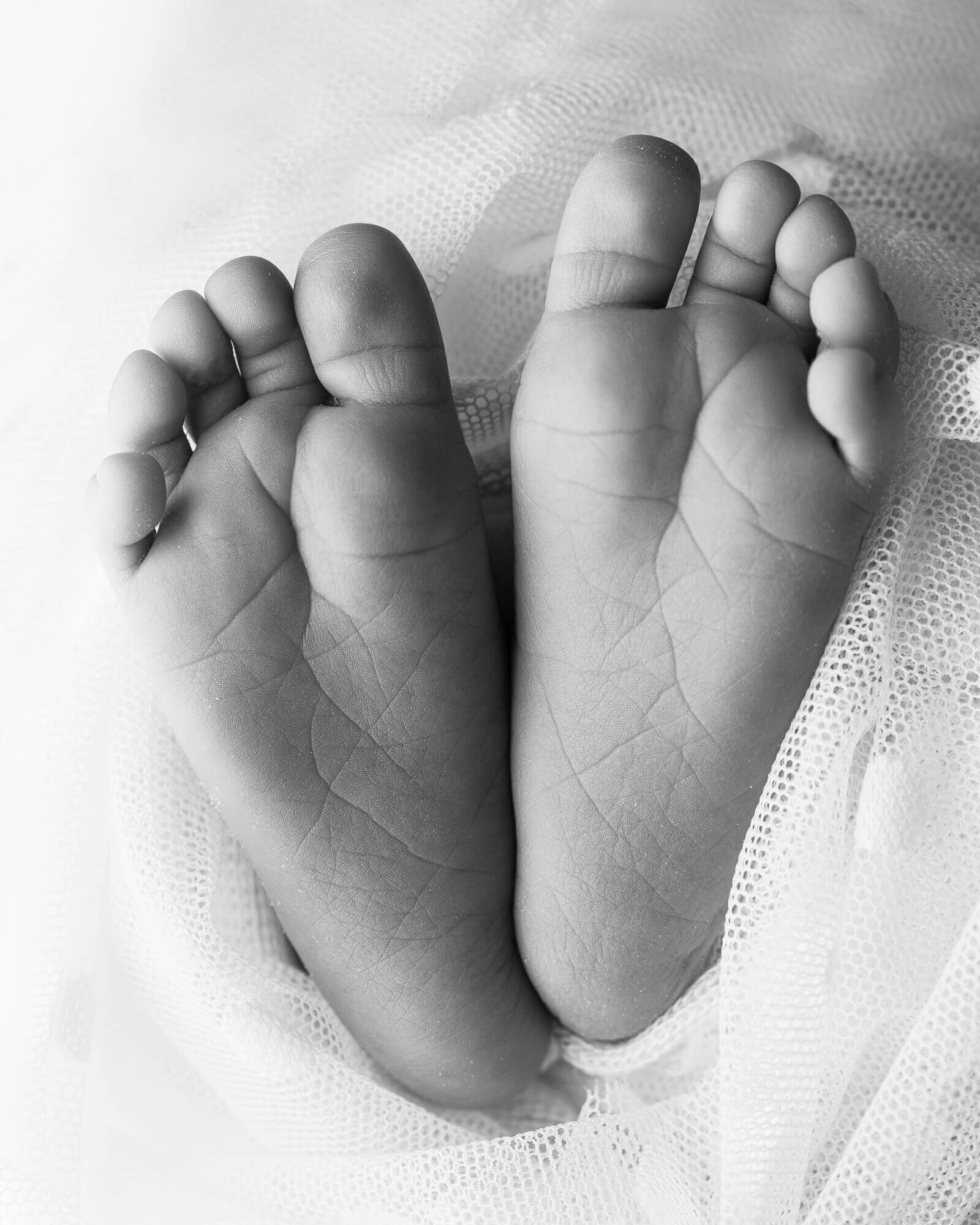 black and white image of baby feet