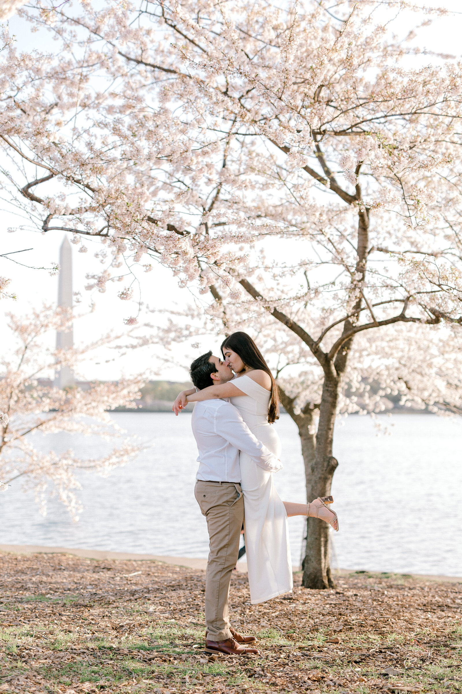 Cherry blossom engagement session in Washington DC
