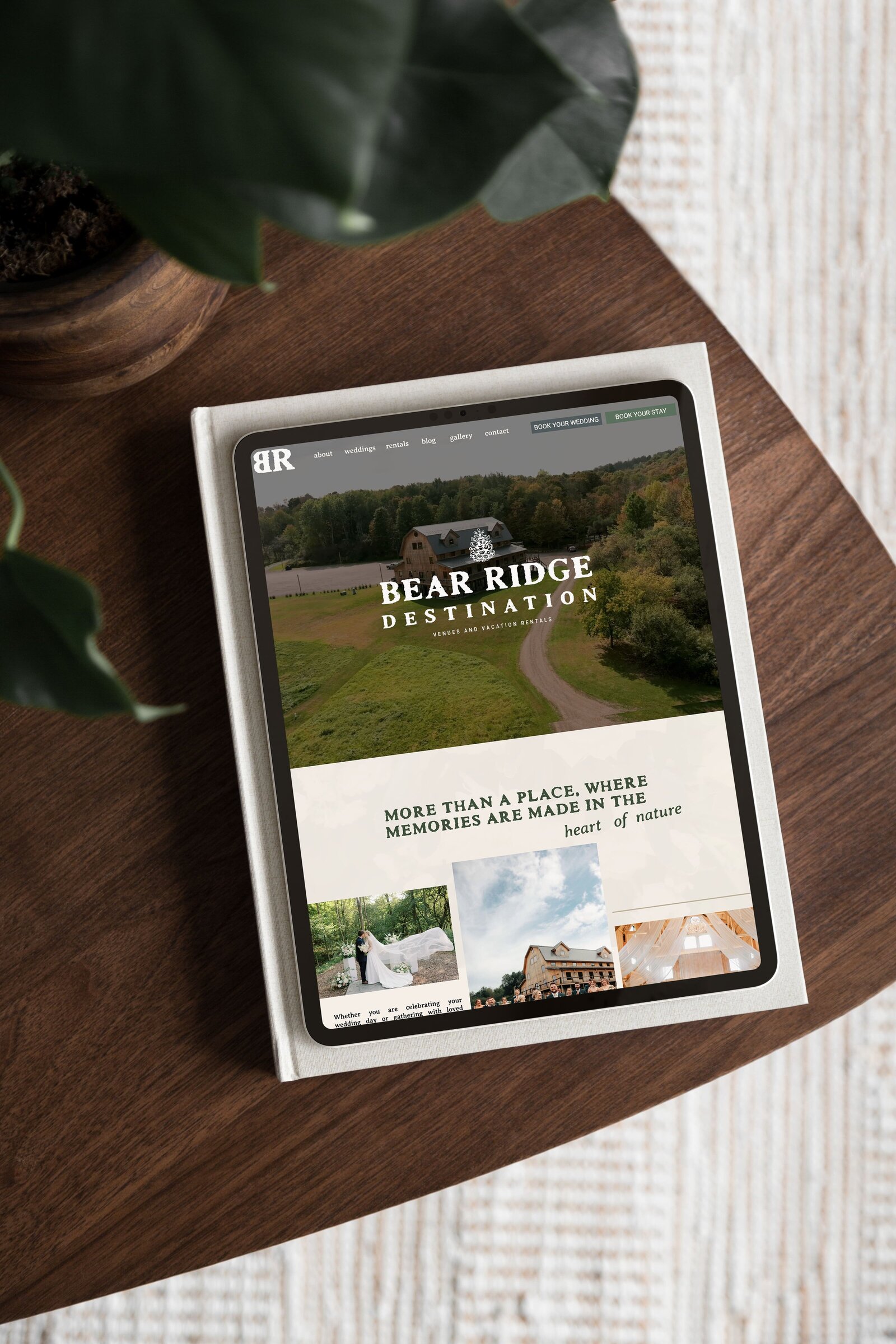 Bear Ridge Mockup