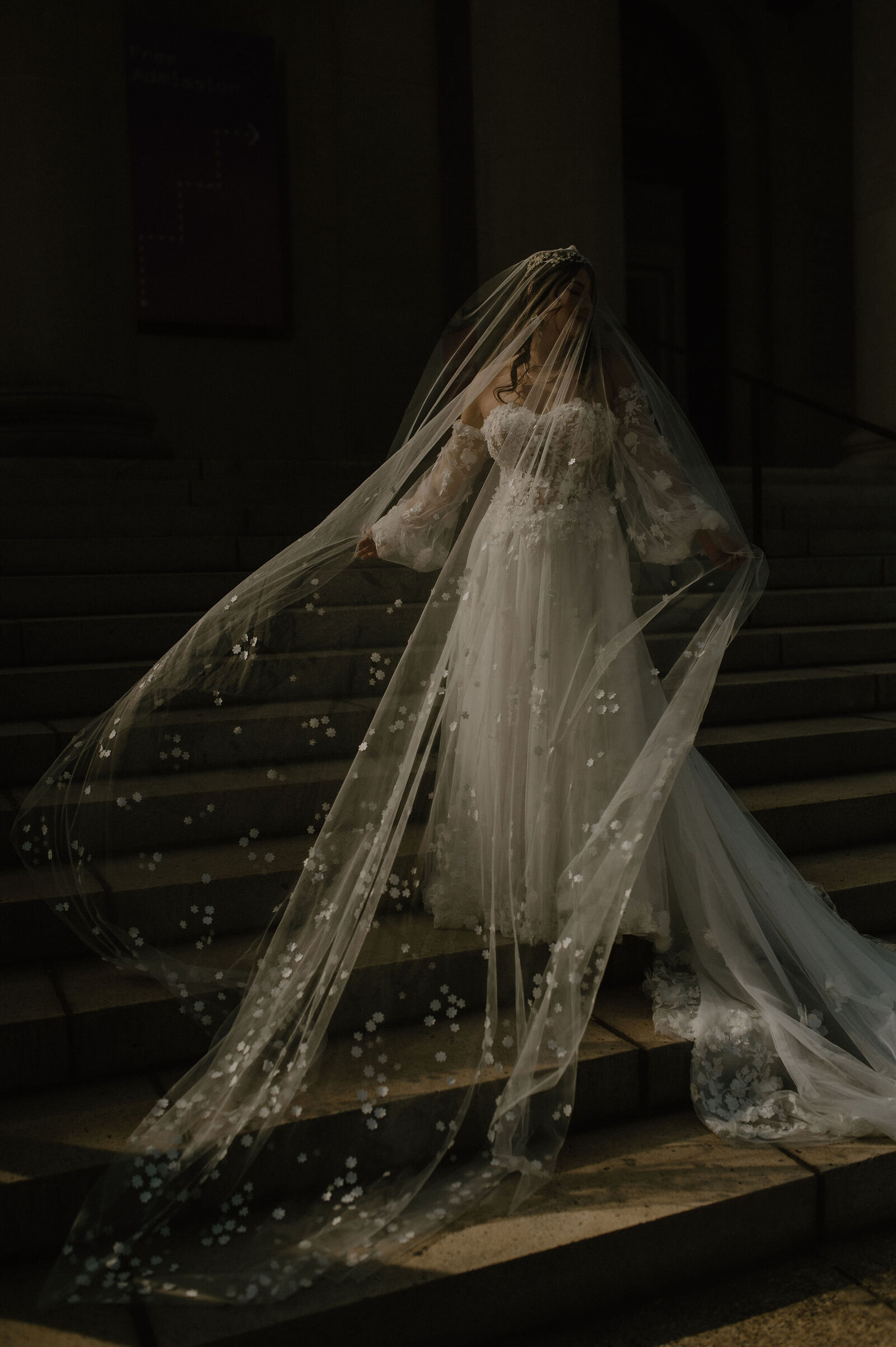 Bridal portrait on darkly lit steps with a cathedral floral veil