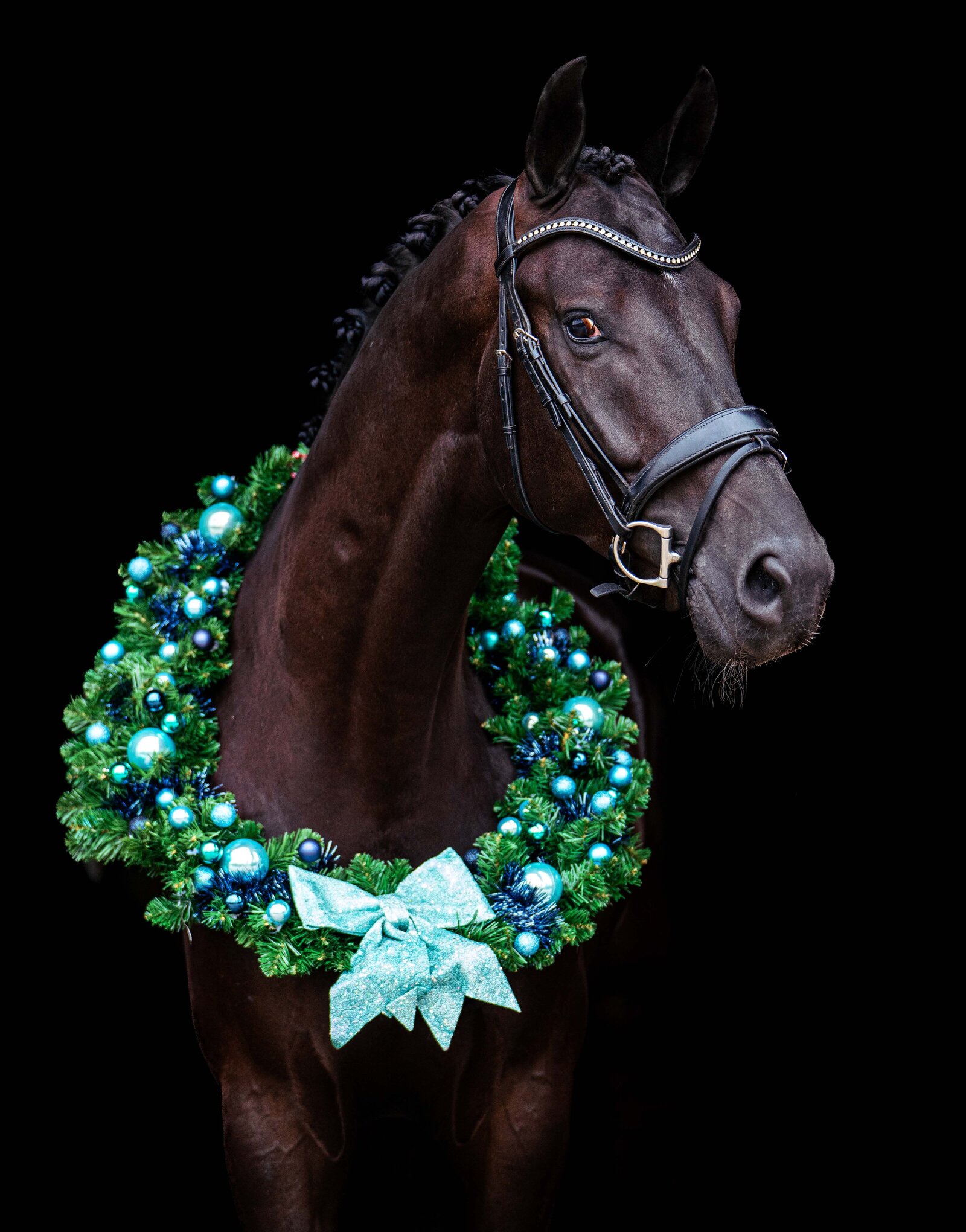 Kerstfoto paard gemaakt door Cheyenne Vlottes (1)